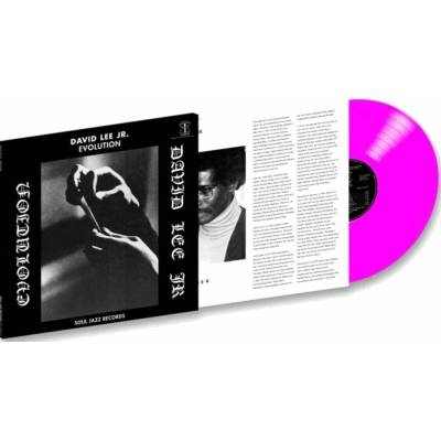 David Lee - Evolution LP