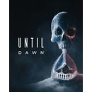 Until Dawn
