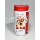 Vitamíny a doplnky stravy pre psov Orling Gelacan Plus Darling 500 g