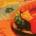 Slough - Slough LP