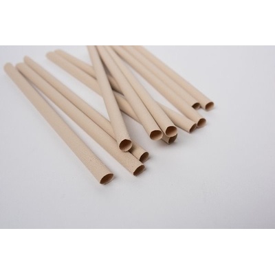 Euro Straws Přírodní bambusové brčko Shakey 8 x 230 mm