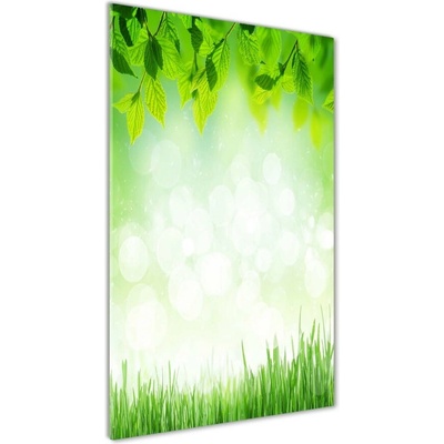Vertikálny fotoobraz na skle Lístia a tráva 50x100 cm