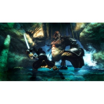 Risen 2: Dark Waters (Gold)