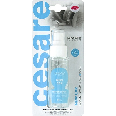 Mr&Mrs Fragrance Cesare Spray New Car
