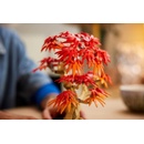 Image 1 of LEGO® Botanicals - Japanese Red Maple Bonsai Tree (10348)