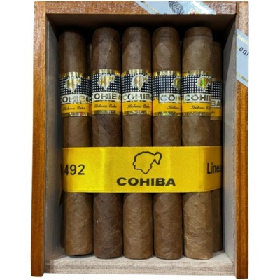 Cohiba Siglo II 1 ks