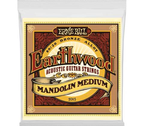 Ernie Ball 2065