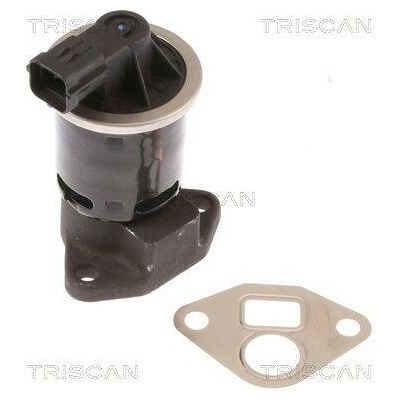 AGR-Ventil TRISCAN 8813 21004 (881321004)