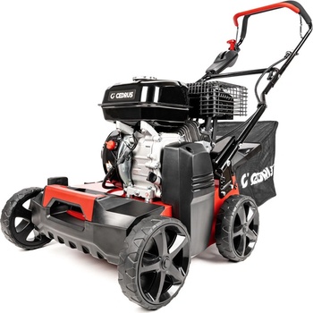 Hahn & Sohn Cedrus CEDWR01