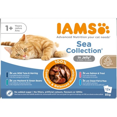 Iams Delights Adult Sea Mix jelly 12 x 85 g