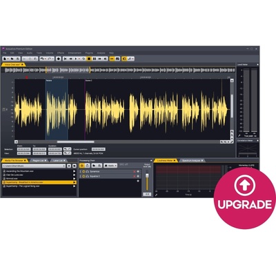 Acon AS Acoustica Premium Edition UPG from Standard (Дигитален продукт)