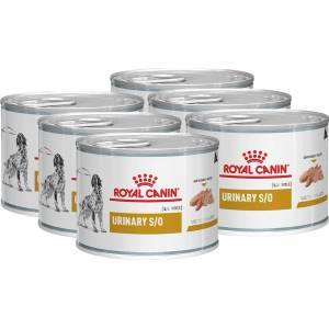 Royal Canin VHN Dog Urinary S/O Консерва 6 x 200 г