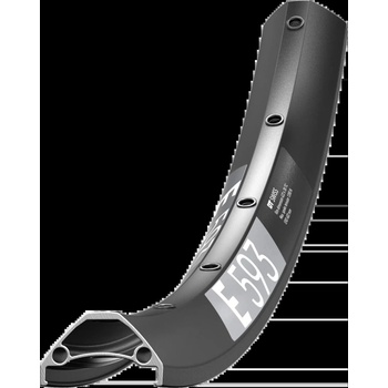 DT Swiss E 593
