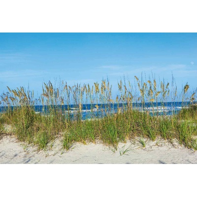 DIMEX ART Флизелинов фототапет трева на плажа 375 x 250 см