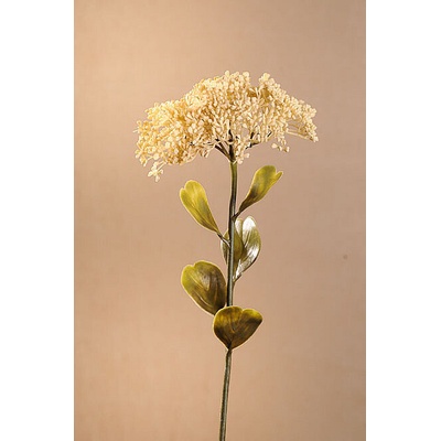 DRY FULL BLOOM SEDUM 46 cm bílá 46 cm