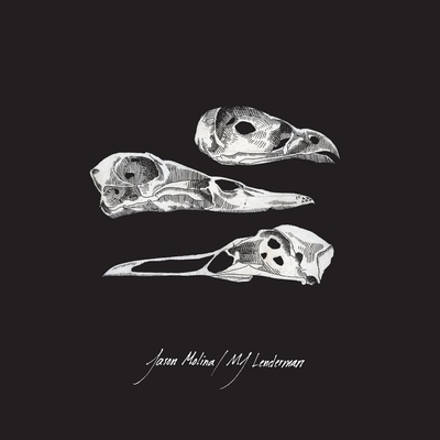 Jason Molina / MJ Lenderman - Last Three Human Words (Demo) / Just Be Simple (LP) (0199438000680)