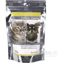 FeliGum Hepato žuv.tbl. 120 g 60 ks