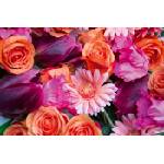 DIMEX ART Флизелинов фототапет красиви цветя 375 x 250 см