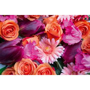 DIMEX ART Флизелинов фототапет красиви цветя 375 x 250 см