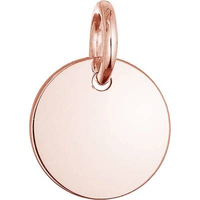 Evolution Group Pozlacený stříbrný přívěsek placička 64092 rose gold