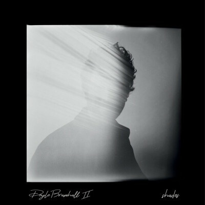 Doyle Bramhall II - BRAMHALL, DOYLE -II- - SHADES Vinyl