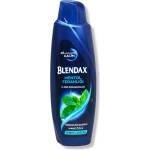  Blendax шампоан за коса, Мъжки, Ментол, 500мл