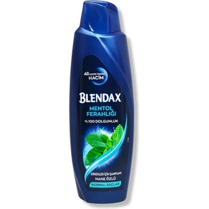  Blendax шампоан за коса, Мъжки, Ментол, 500мл