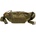 Brandit Molle