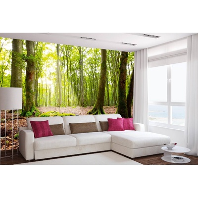 DIMEX ART Самозалепваща се флизелинова фототапета лъчи в гората 375 x 250 см