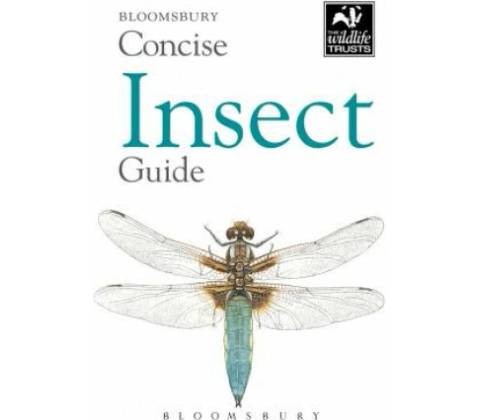 Concise Insect Guide BloomsburyPaperback / softback
