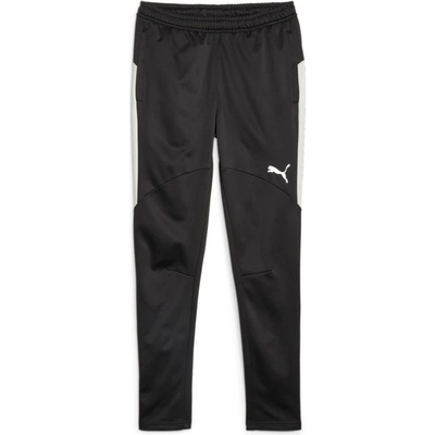 Puma Individual Winterized Men's Football pants 658511-03