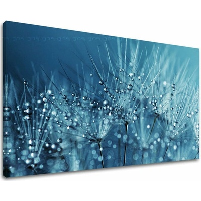 Obraz na stenu KVETY - 20x30