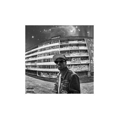UNKNOWN T - RISE ABOVE HERE LP