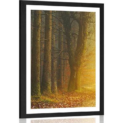 Plakát s paspartou cesta v lese - 30x45 silver
