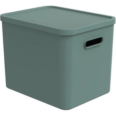Rotho Úložný box rovný s víkem 27 l matně zelená ALBU LIGHT 37 x 29 x 30