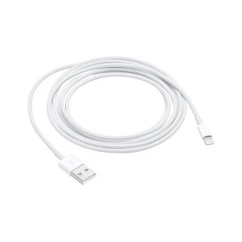 Apple Y00000363813