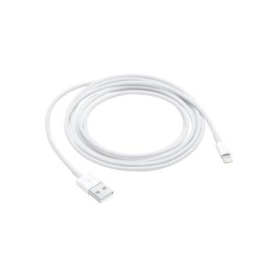 Apple Y00000363813