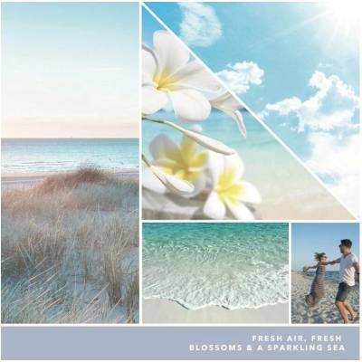 Yankee Candle Signature Ocean Air 567 g