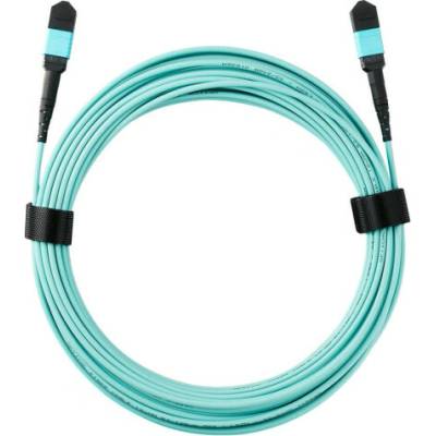 Zyxel MPO-10M-ZZ0101F