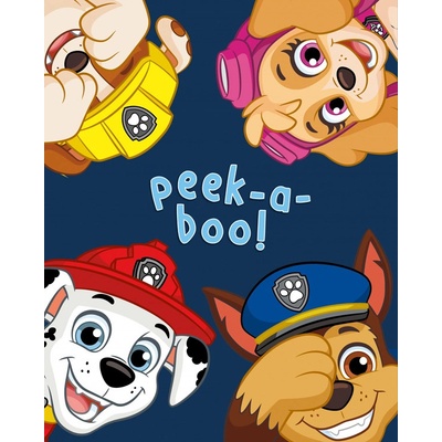 BrandMac Dětská deka Paw Patrol II