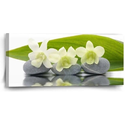 Sablio Obraz Bílá orchidej - 110x50 cm