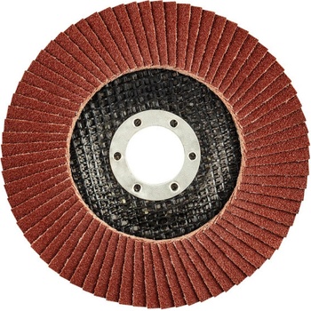 Graphite Kotouč lamelový 125 x 22,2 mm K120 55H991