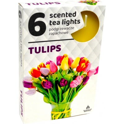 Admit Tea Lights Tulips 6 ks