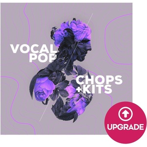 AUDIOMODERN Vocal Pop - Expansion for Loopmix (Дигитален продукт)