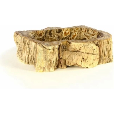 Divero Fossil 50384