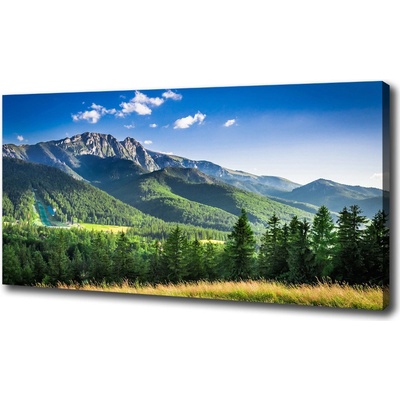 Foto obraz na plátne Skokanský mostík Tatry 100x50 cm