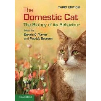 Domestic Cat