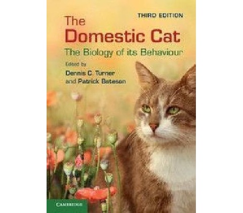Domestic Cat