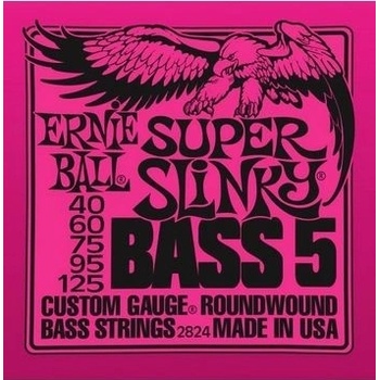 Ernie Ball 2824