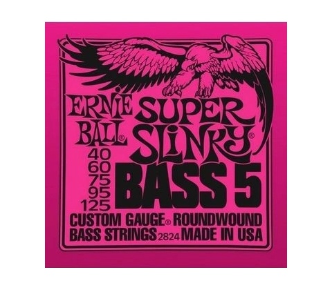 Ernie Ball 2824